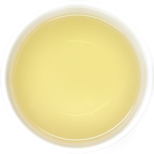 ��25�̎������Ď̎׎������ۡ��ե������ࡡClonal Tips��EX-3