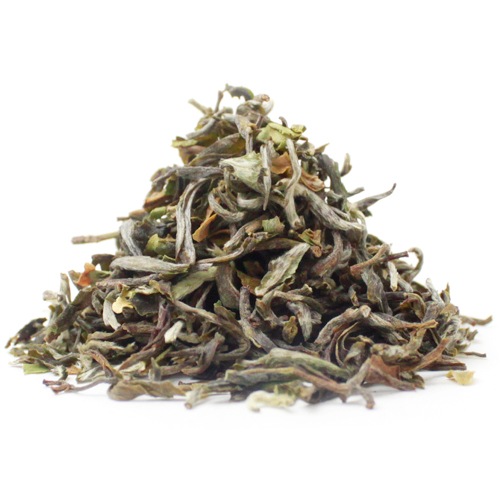 ��25�̎������Ď̎׎������ۡ��С��ͥ��٥å����ࡡTippy Clonal��EX-3