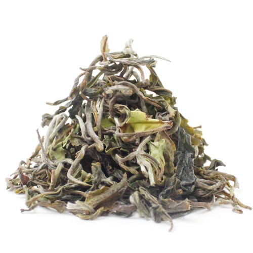 25ﾌｧｰｽﾄﾌﾗｯｼｭ】 ギダパール農園 China EX-4｜ダージリン紅茶専門店