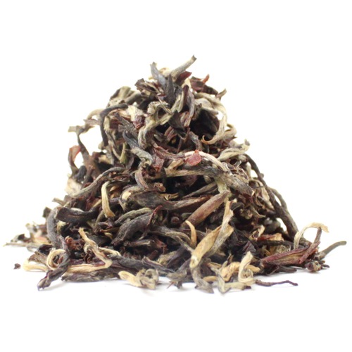 ��25�����ݎĎގ̎׎������ۡ�����å���ȥ����ࡡTippy Clonal��DJ-203