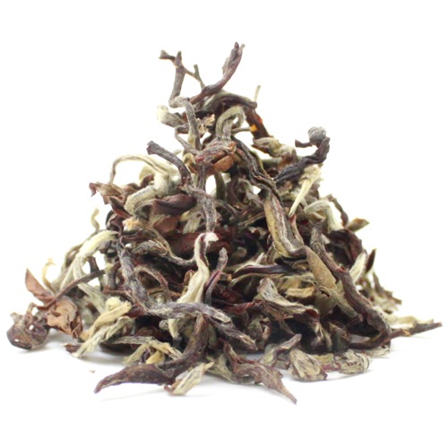 ��25�����ݎĎގ̎׎������ۡ�����å���ȥ����ࡡMoonlight DIANA��DJ-205