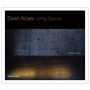 デイヴィッド・アジャイ住宅作品集