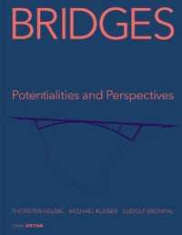 Bridges：可能性と展望