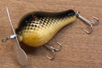 �������ѡ���