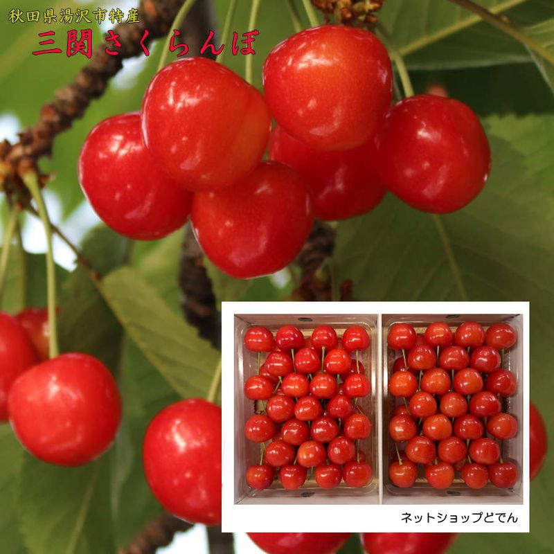 ��2026ǯ5�ͽ�󳫻ϡۻ��ؤ������ܡ���ƣ��L������600���£���Ѳ���Ȣ�����������