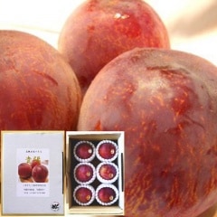 ��2026ǯ7�ͽ�󳫻ϡۺ�ƣ�̼��ࡡ���ۡʤ�����4�̥�����6������