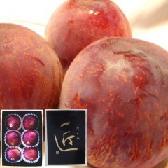 ��2026ǯ7�ͽ�󳫻ϡۺ�ƣ�̼��ࡡ���ۡʤ�����£���Ѳ���Ȣ����5��6�̥�����5��6������