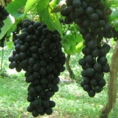 �����佪λ�ۻ����̼��ࡡ�����٥����2���ˡ�