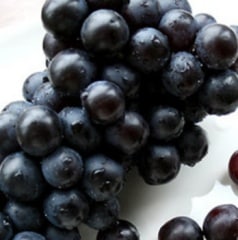 佪λۻ̼ࡡ塼٥5˼2