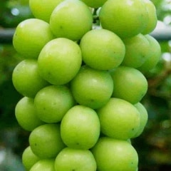 �����佪λ�ۻ����̼��ࡡ���㥤��ޥ����å�(3˼��