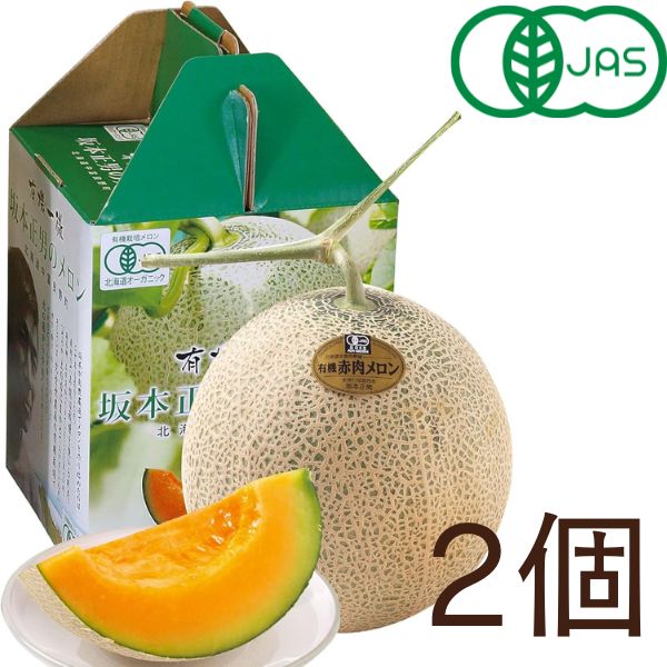 北海道 有機JAS 坂本メロン 2個セット (送料無料対象外)
