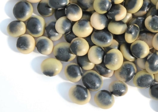 【訳あり特価品】鞍掛豆(200g)