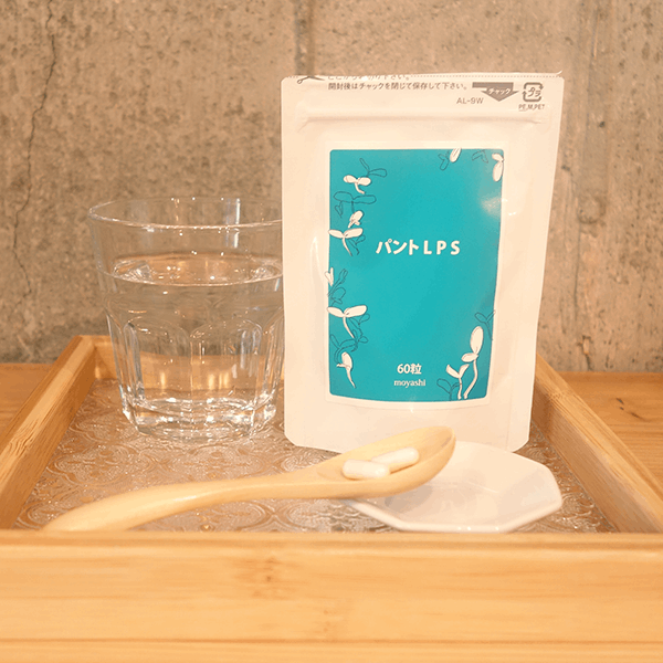 (訳アリ特価) パントLPS