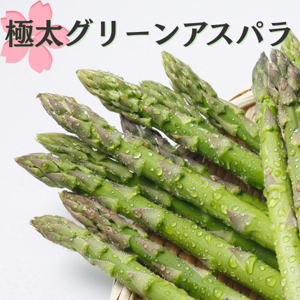 北海道比布町産 【農業生産法人ノウリエ】グリーンアスパラ L~2L サイズ 1kg (送料無料対象外)