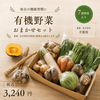 有機野菜 おまかせセット