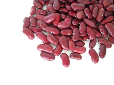 キドニービーンズ（500g）