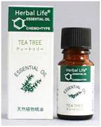 ティートゥリー(10ml)