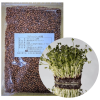 ラディッシュの種(100g)
