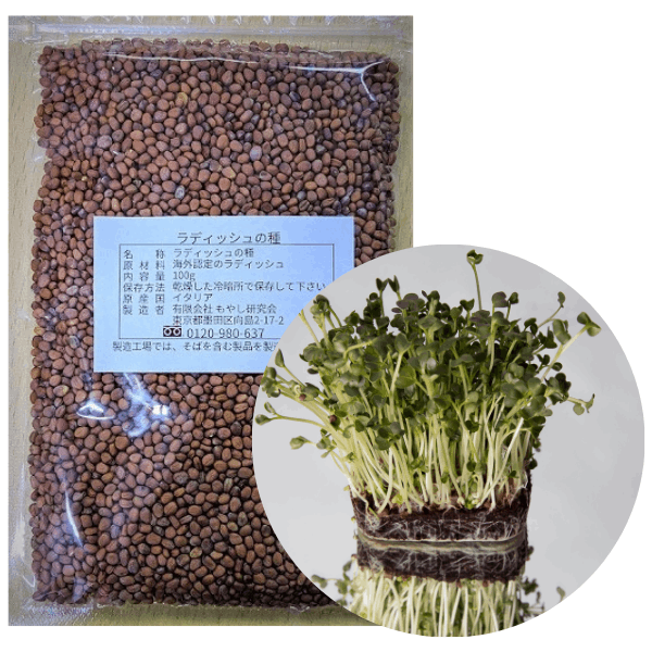 ラディッシュの種(100g)