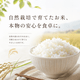 【産地直送】三分づき米 ササニシキ　無農薬米　令和7年産 (送料無料対象外)