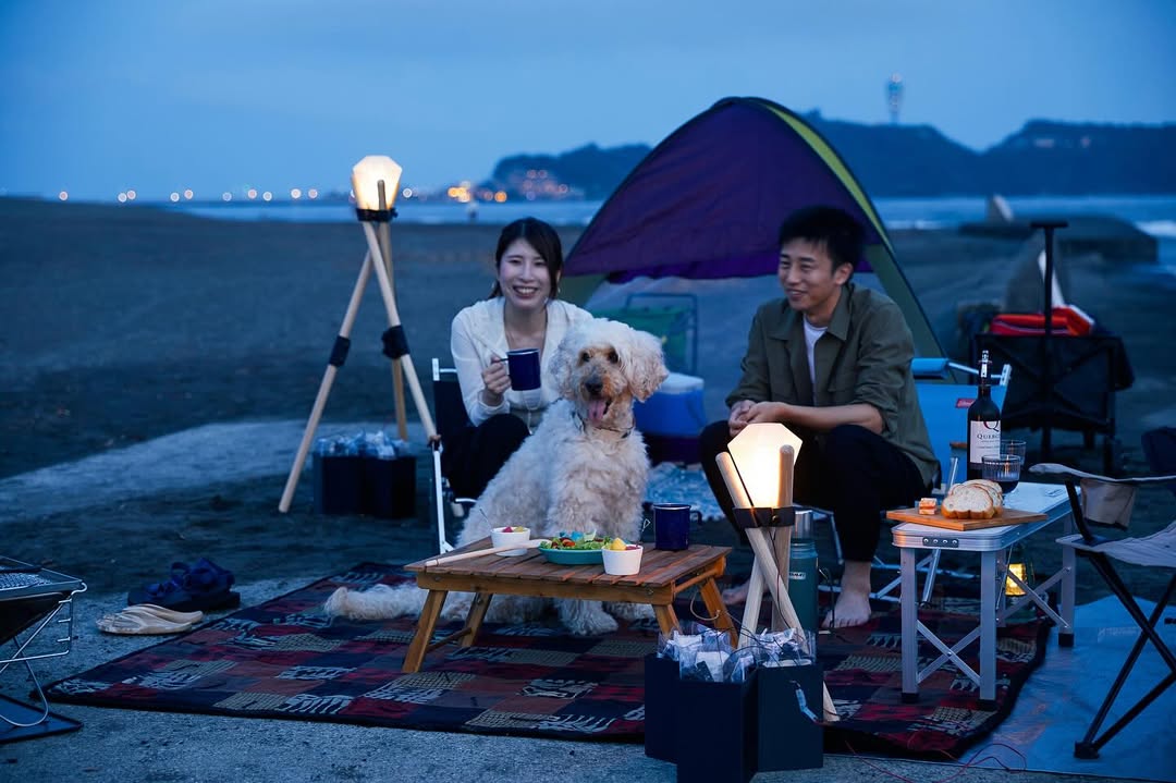 Shed Light（シェドライト）