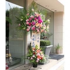 �˥���������� 20000������