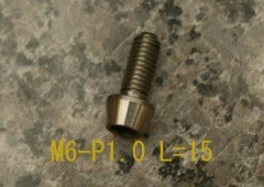 TSH06015