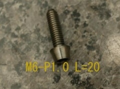 TSH06020