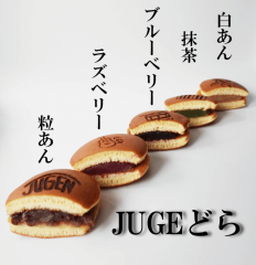 JUGENȤĤθܥġJUGEɤ5