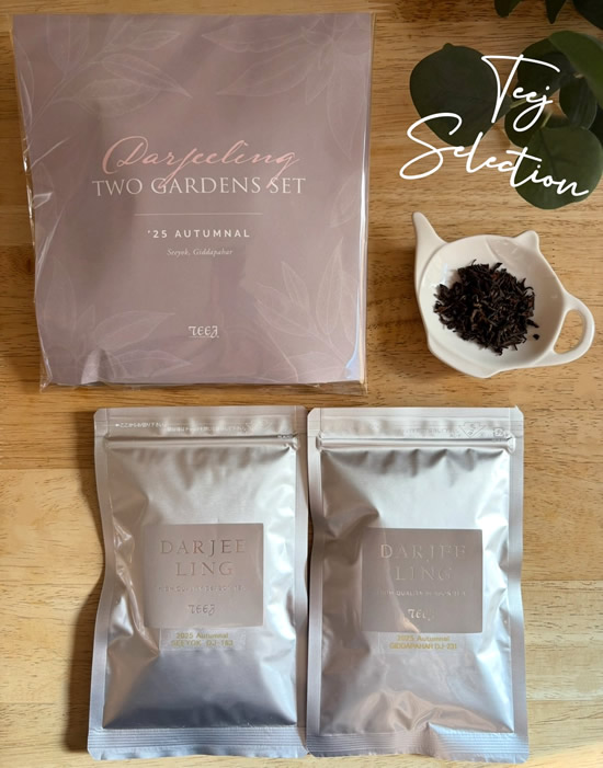 2025��������󥪡�����ʥ롡����ॻ�å�