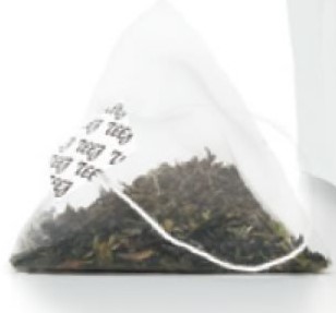 2025 ��������ʥ� ���������ݥå��ѥƥ����Хå�����ߣ�������(�����դ�)