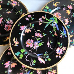 �������ʥ��̥��������å��С��ɡ��ե����ǥ��ʡ��ץ졼��(4�祻�åȡ�