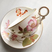 ̥󥰥ɤ֥ƥC/S(Wild Rose)