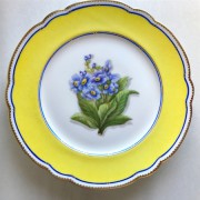 �ѥ��ҥ륤�������������롡�ե��ץ졼��