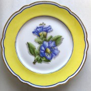 �ѥ��ҥ륤�������������롡�ե��ץ졼��