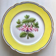 �ѥ��ҥ륤�������������롡�ե��ץ졼��