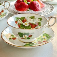 ���ȥ��٥꡼�饤�� ���åס���������