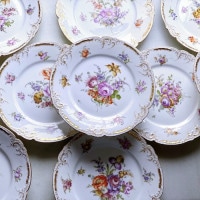 Dresden Bouquet Dinner Plate ɥ쥹ǥ󡡼֥ɥ쥹ǥ֡ץǥʡץ졼