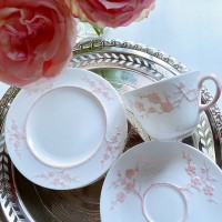 ݡɡץɡץࡦܥԥ󥯥ȥꥪ