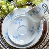 ݡɡץɡץࡦܥڥ֥롼ȥꥪ