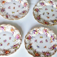 Dresden Flower Plate (set of 4) ɥ쥹ǥեץ졼ȣ祻å