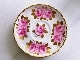 륷󥷡ǥ奪    Royal Chelsea Swansea Rose Duo