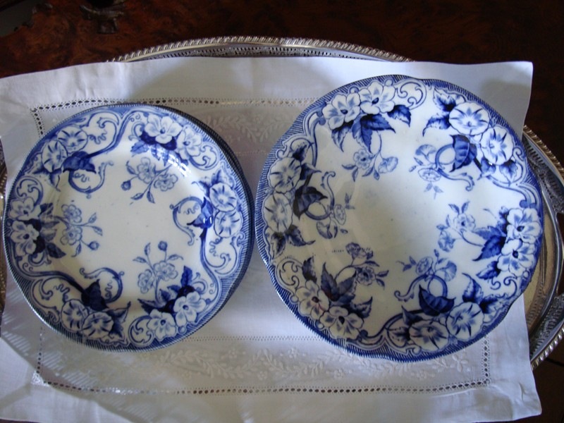 쥤ȥե顦ǥȥå(7ԡ)