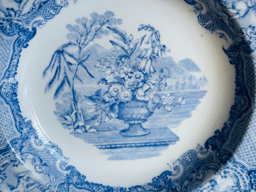 ���ݡ��ɤε���ǥ��ʡ��ץ졼��