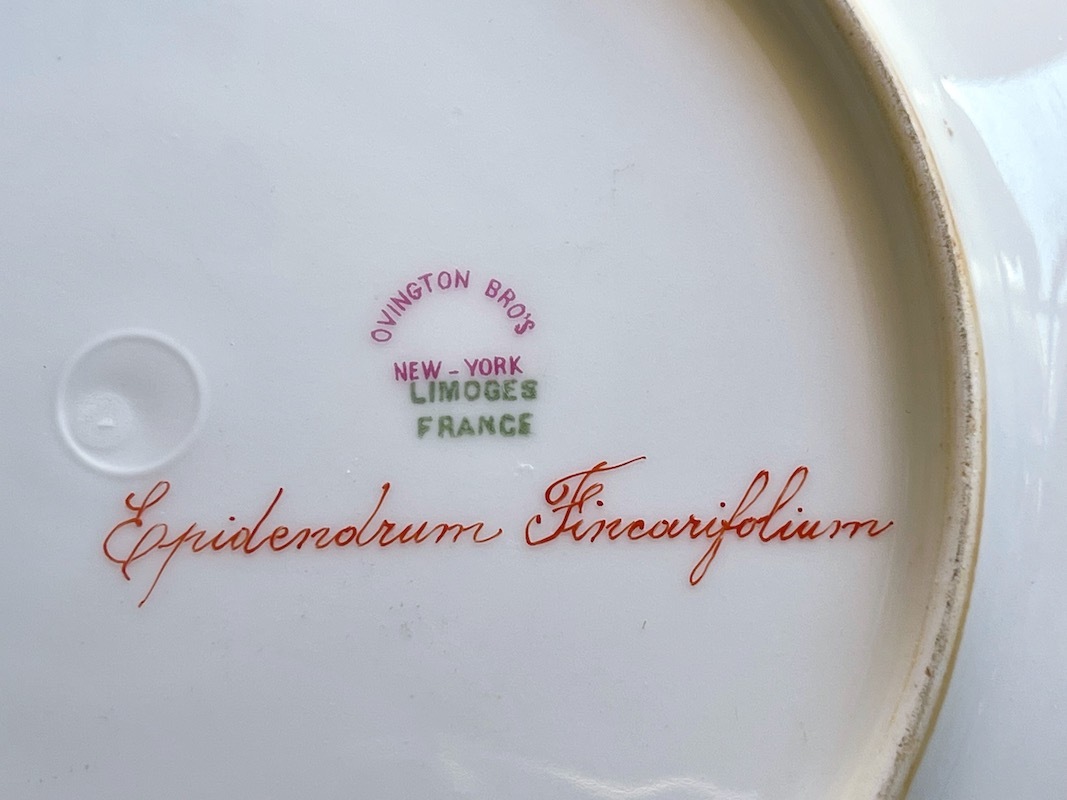 ��⡼���塡���֥롦�ɥ�塼�롡�������å�3