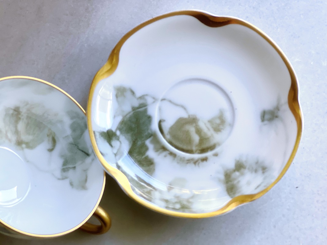 ���ӥ��ɤβФηݽѥǥߥ�����