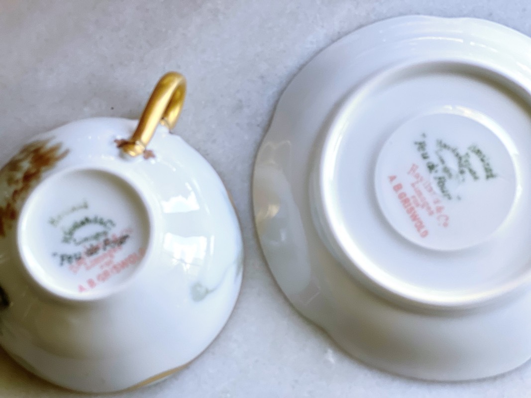 ���ӥ��ɤβФηݽѥǥߥ�����