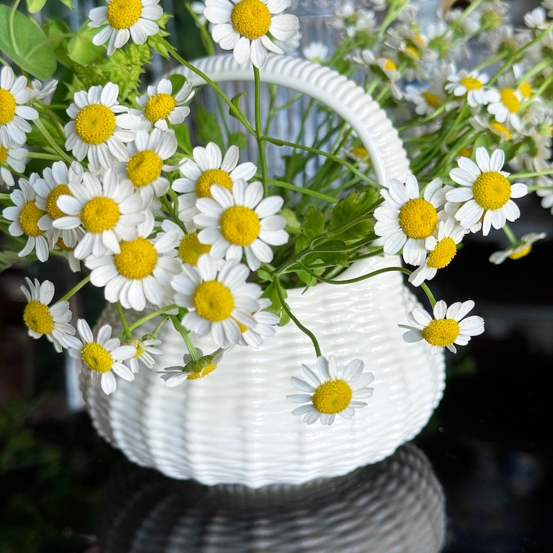 ������륦�����������Х����å�