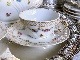 ������ɡ����Υꡡ�ե����ĥ����鯤Ⱦ��֤Υ������ɡ��ƥ������å�    Old Ginori Rose & Flowers Garland Tea Set