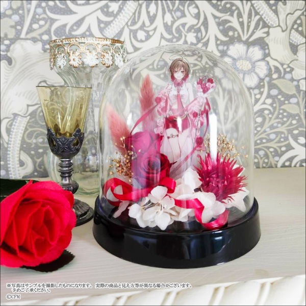 ��MEIKO 20th Anniversary�ۥե������ȥɡ��ࡡ��1��